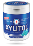 LOTTE XYLITOL Chewing Gum - Fresh Mint Flavor